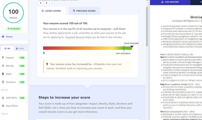 Perfect 100 score for client on Resume Worded blurred